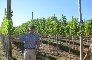 Maschinenpark-Auslieferung für die Vinicola Perico in Santa Catarina /Brasilien