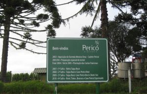 Maschinenpark-Auslieferung für die Vinicola Perico in Santa Catarina /Brasilien