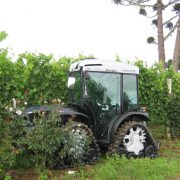 Maschinenpark-Auslieferung für die Vinicola Perico in Santa Catarina /Brasilien