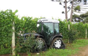 Maschinenpark-Auslieferung für die Vinicola Perico in Santa Catarina /Brasilien